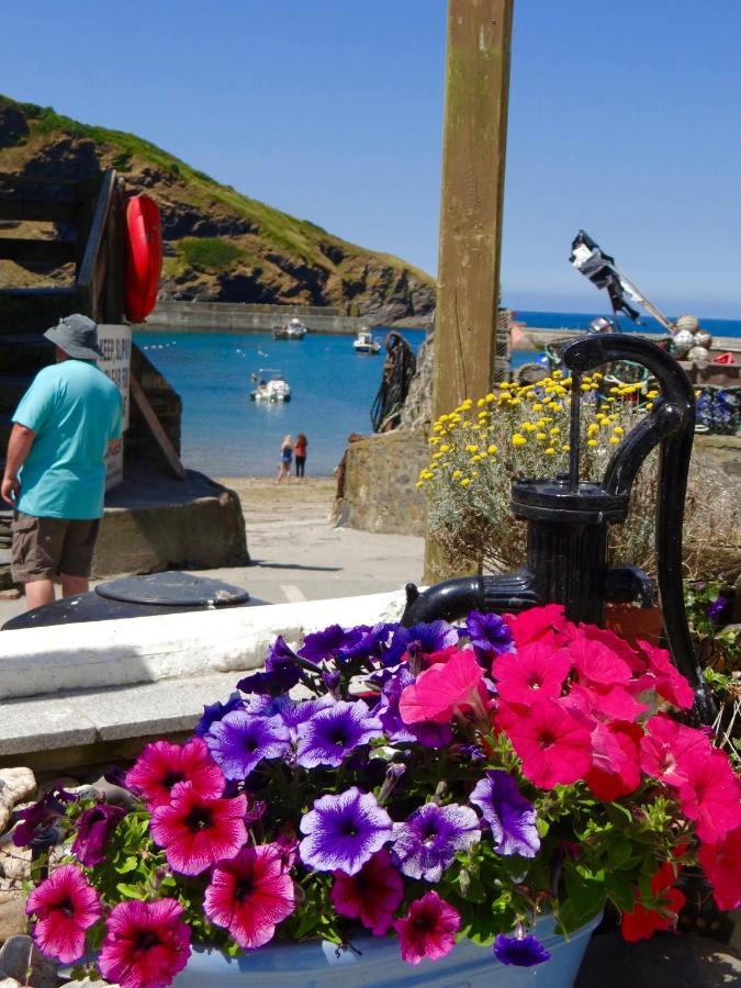 The Slipway B&B Port Isaac Exteriör bild